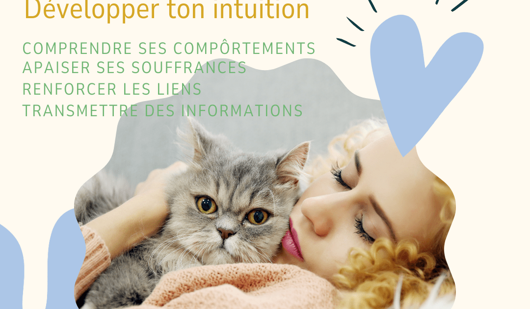 Dialogue silencieux entre une maîtresse et son compagnon à quatre pattes : une connexion profonde au-delà des mots.